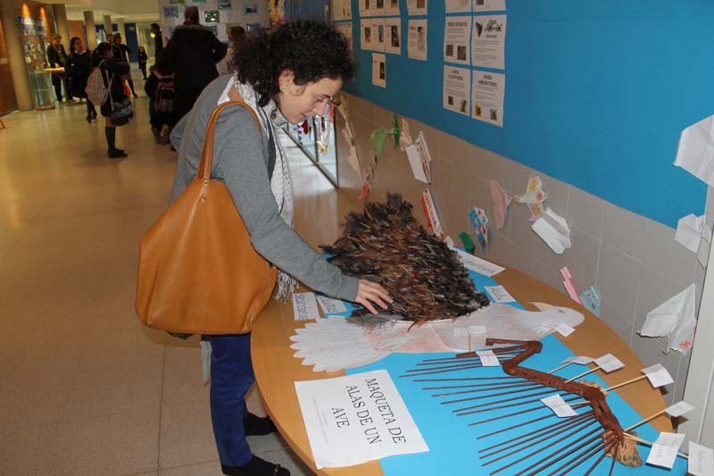 Semana Ciencias en Los Tilos